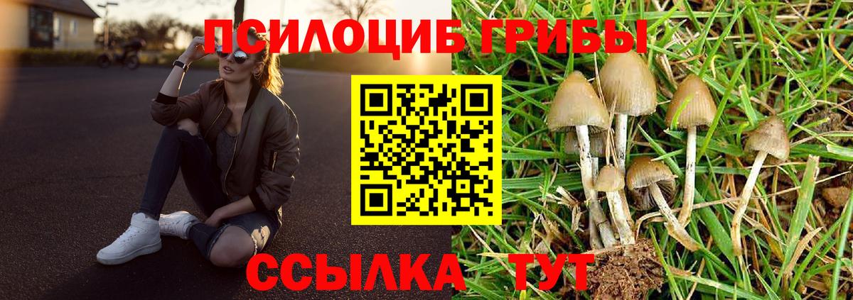 Гусиноозёрск  Галлюциногенные грибы GOLDEN TEACHER  Галлюциногенные грибы Magic Shrooms  Вход с VPN 